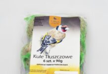 Kule tłuszczowe dla ptaków – dlaczego warto po nie sięgnąć?